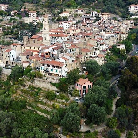 U Ciousu By Ligurian Life Appartamenti In Agriturismo Vallebona Dış mekan fotoğraf