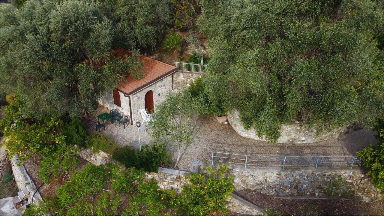 U Ciousu By Ligurian Life Appartamenti In Agriturismo Vallebona Dış mekan fotoğraf