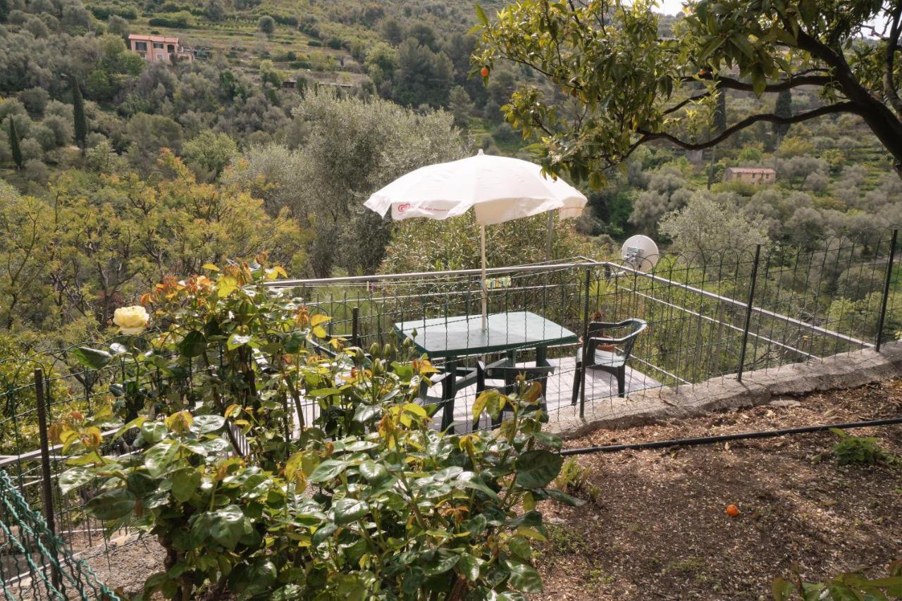 U Ciousu By Ligurian Life Appartamenti In Agriturismo Vallebona Dış mekan fotoğraf