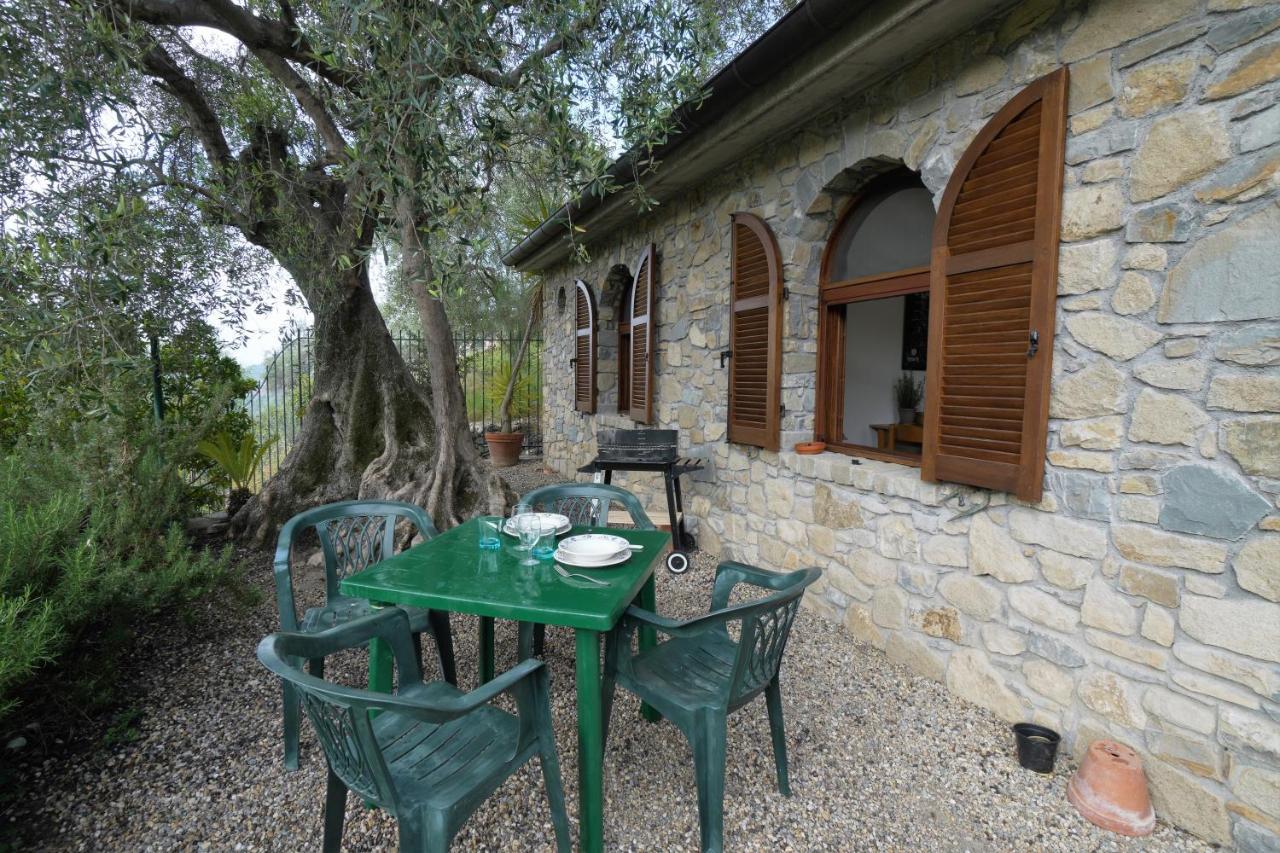 U Ciousu By Ligurian Life Appartamenti In Agriturismo Vallebona Dış mekan fotoğraf