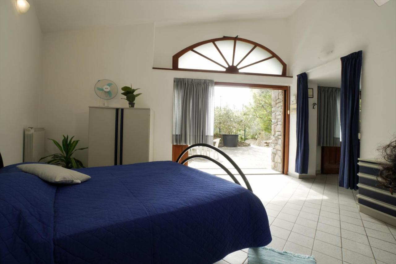 U Ciousu By Ligurian Life Appartamenti In Agriturismo Vallebona Dış mekan fotoğraf