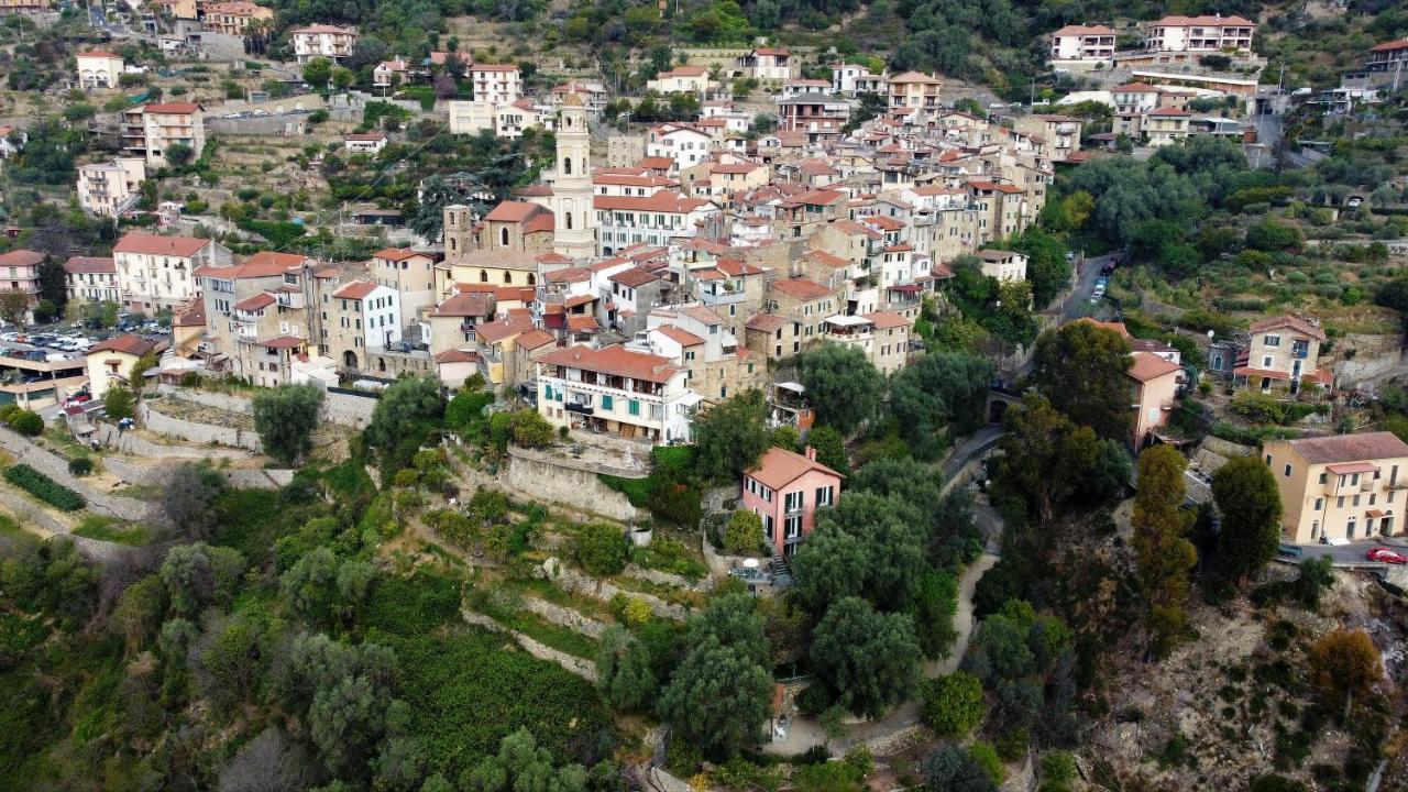 U Ciousu By Ligurian Life Appartamenti In Agriturismo Vallebona Dış mekan fotoğraf