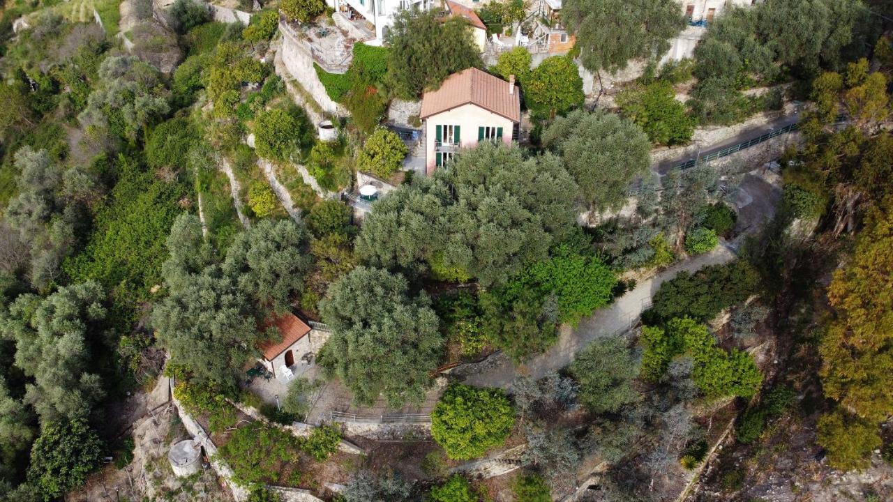 U Ciousu By Ligurian Life Appartamenti In Agriturismo Vallebona Dış mekan fotoğraf