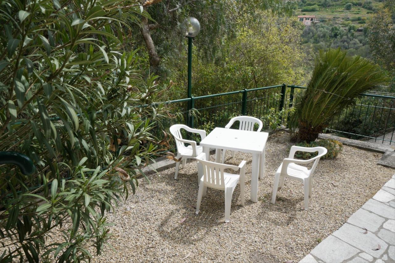 U Ciousu By Ligurian Life Appartamenti In Agriturismo Vallebona Dış mekan fotoğraf